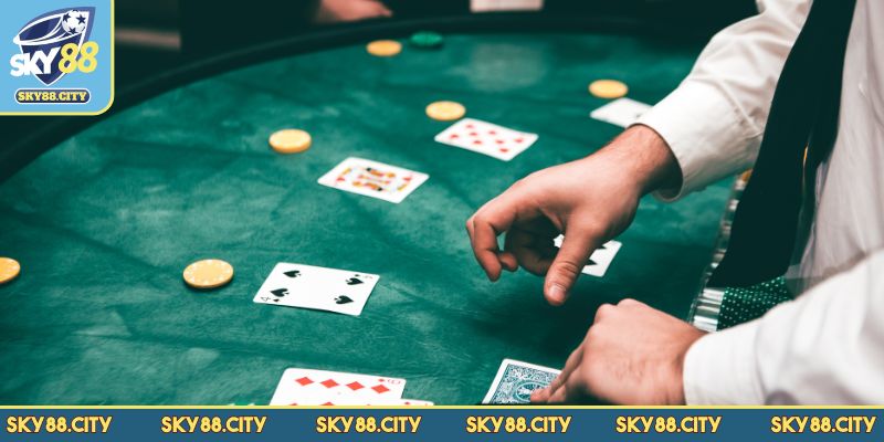 Nhà phát hành DG Casino