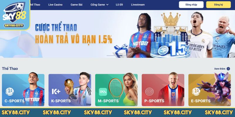 Những điều kiện bắt buộc cần biết trước khi đăng ký SKY88