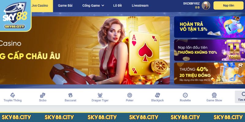 Đánh giá SKY88 có giao diện website thân thiện