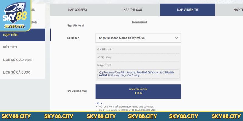 Những điều cần ghi nhớ khi nạp tiền SKY88 để tránh rủi ro