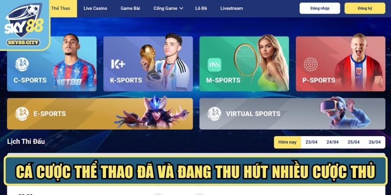 Cá cược thể thao đã và đang thu hút nhiều cược thủ